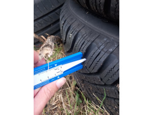 Continental 205/55 R16 91H Allwetterreifen – 2 Stück, 8/7 mm Profil, gebraucht Continental 205/55 R16 91H Allwetterreifen – 2 Stück, 8/7 mm Profil, gebraucht