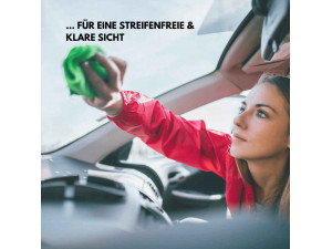 biocar Glasreiniger biocar Glasreiniger