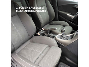 biocar Polsterreiniger biocar Polsterreiniger